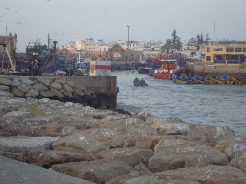La pêche ,le poisson,le port,les marins à Mogador/Essouira Essaou41