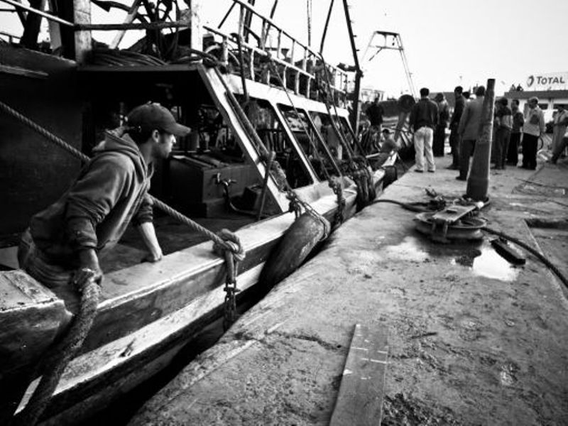 La pêche ,le poisson,le port,les marins à Mogador/Essouira Thumb_33
