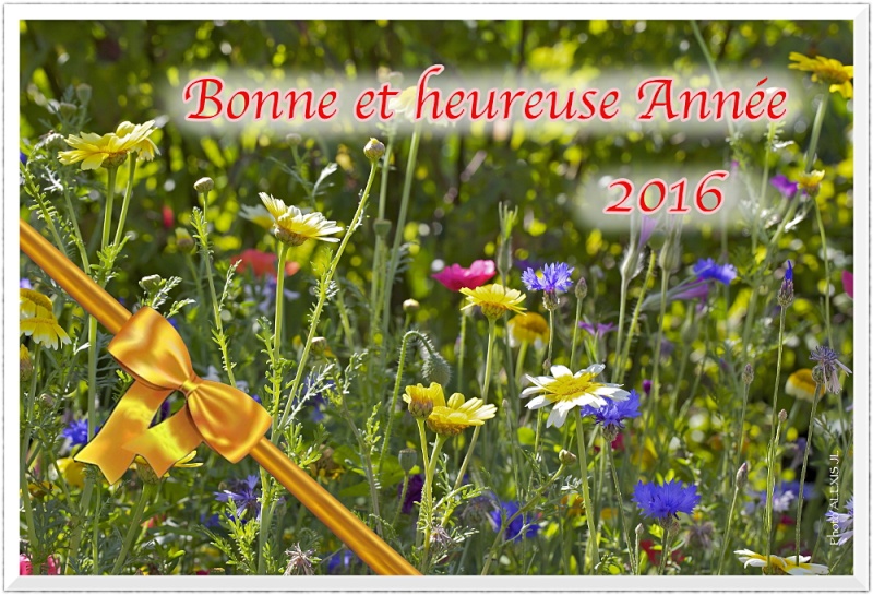 2016 Bonne_10