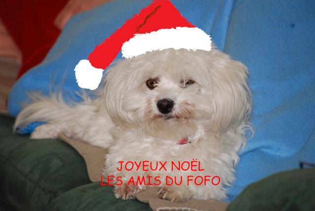 Appel à dessin spécial Noël !!!!! (jusqu'au 26décembre) Dsc_0014