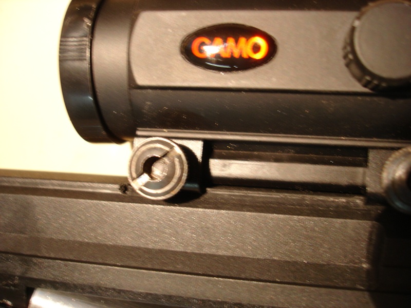 GAMO Compact Dsc01033