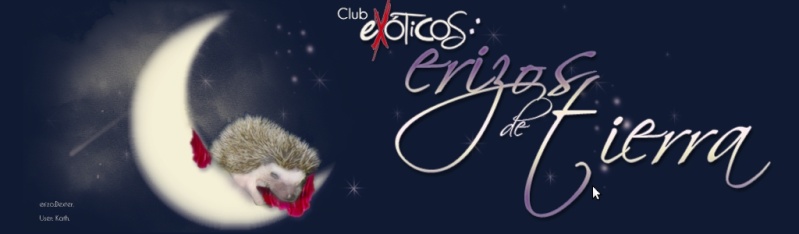 Club Exóticos: Erizos de Tierra Eri10