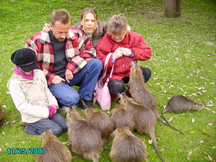 Qui qui n'en veut du gros raton ??? Ragond10