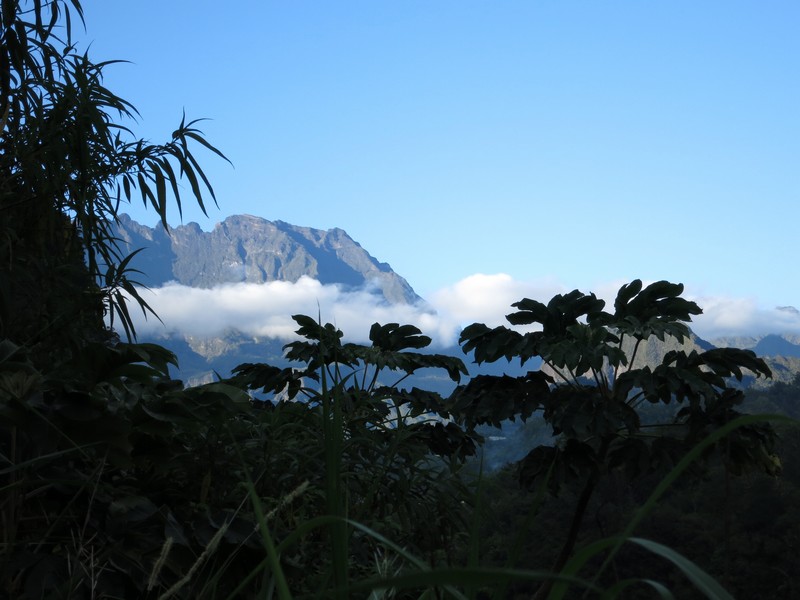 La Réunion automne 2015 12_sal10