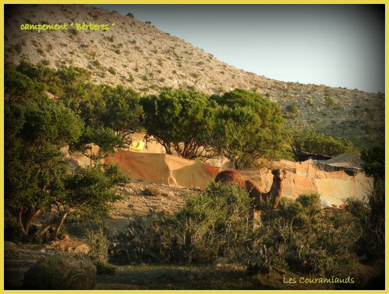 [] Terre d'Océan   taghazoute Agadir  1-122410