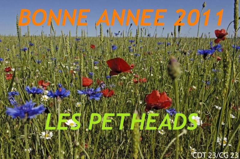 Bonne année 2011 ! Champ_10