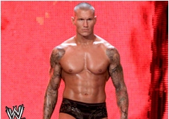 Survivor Series 2010 Randy_54