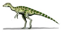 The Dinosaurs of Australia Leaell10