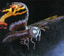 Mothra(monster) Mothra14