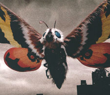 Mothra(monster) Mothra15