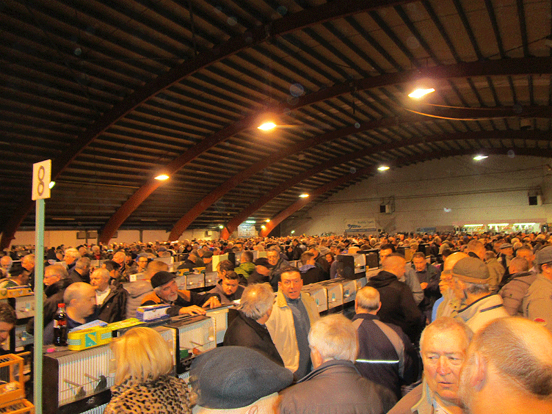 Visite à la bourse d’Hannut Bourse16