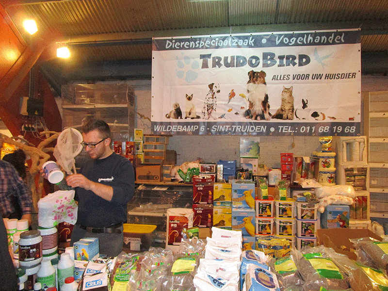 Visite à la bourse d’Hannut Bourse19