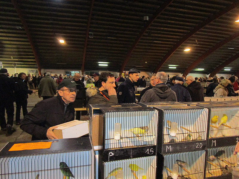 Hannut - Visite à la bourse d’Hannut Bourse29