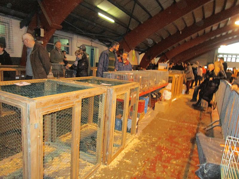 Visite à la bourse d’Hannut Bourse32