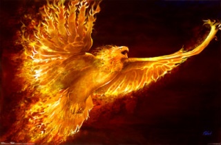 ~Phoenix~