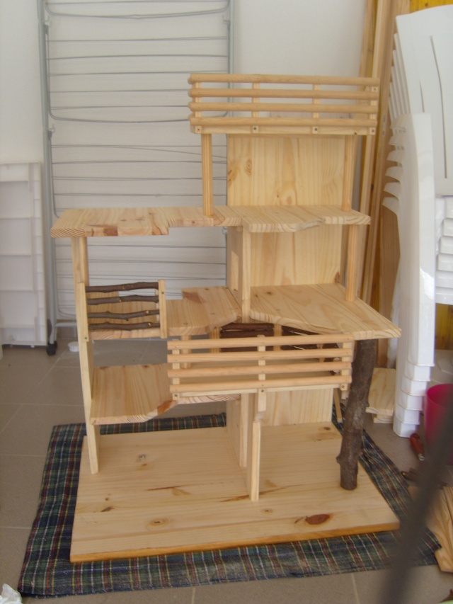 Aménagement intérieur en vivarium pour gros rongeurs S1033328