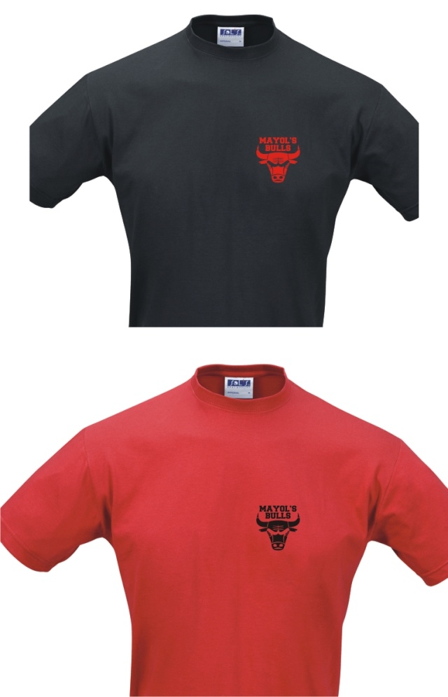 Boutique : chemise - chemisette - tee shirts - polos Imperi10