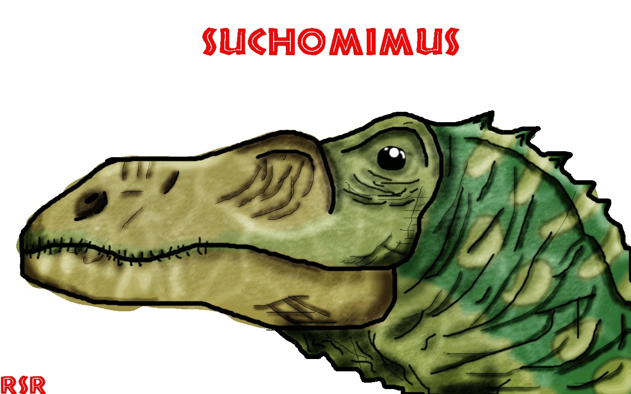 My Suchomimus drawing! Suchom10
