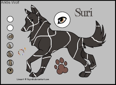Fantasy Artist oder auch Karis colorful world! Suri10
