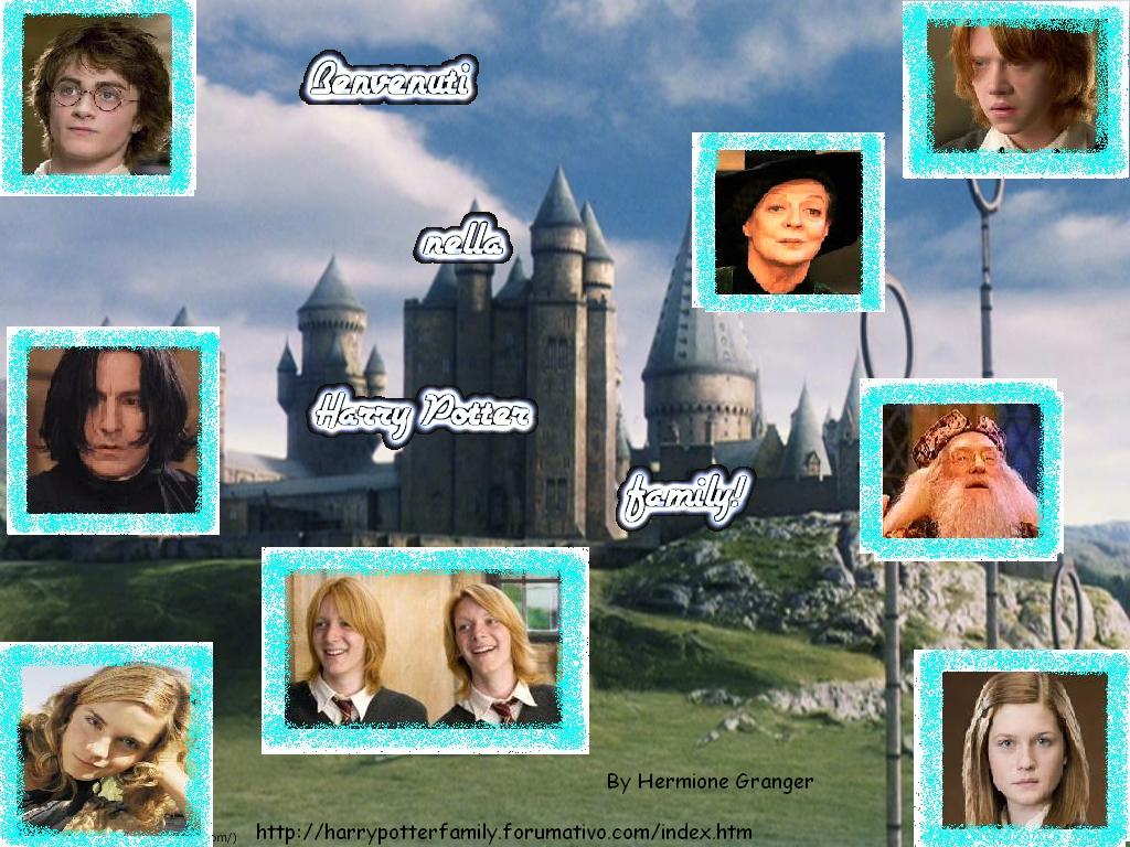 Harry Potter Family