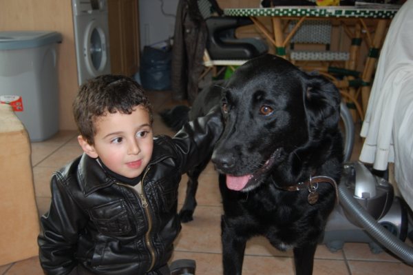 Rosalie, labrador de 6 ans, sauvée de l'eutha, pour 4 jours, HELP ! (64) 01110