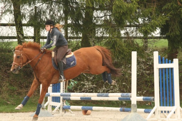 Entrainement au Haras des Avelines.. 24827_16