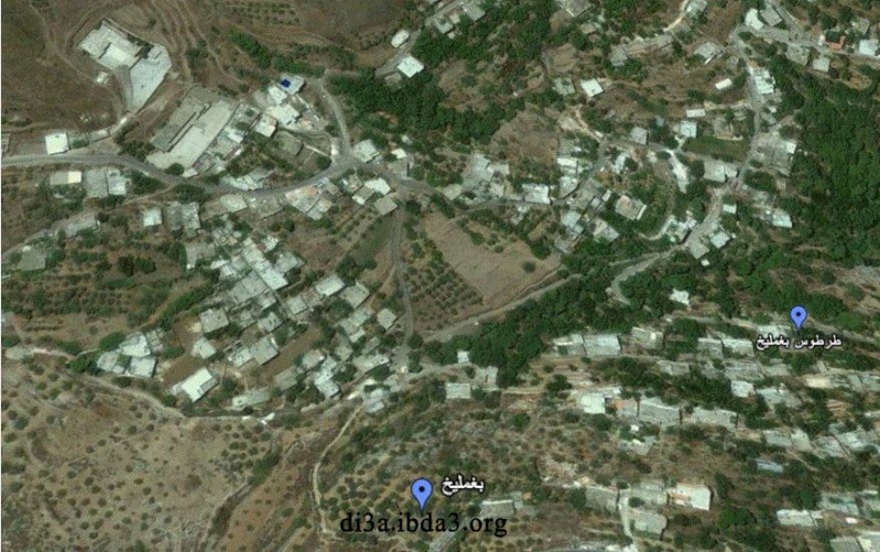  بغمليخ  Google Earth 311