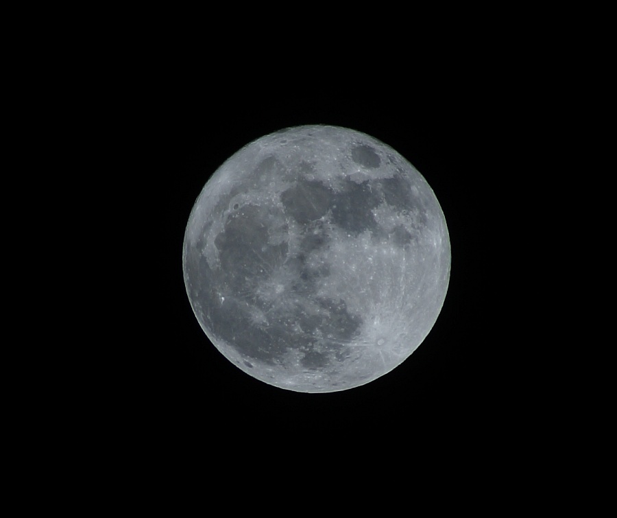 2011 - Sabato 19 marzo 2011 la «Luna gigante» Luna1_10