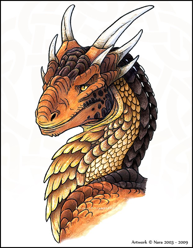 Dren Dragonmir (Approved) Algrrr11
