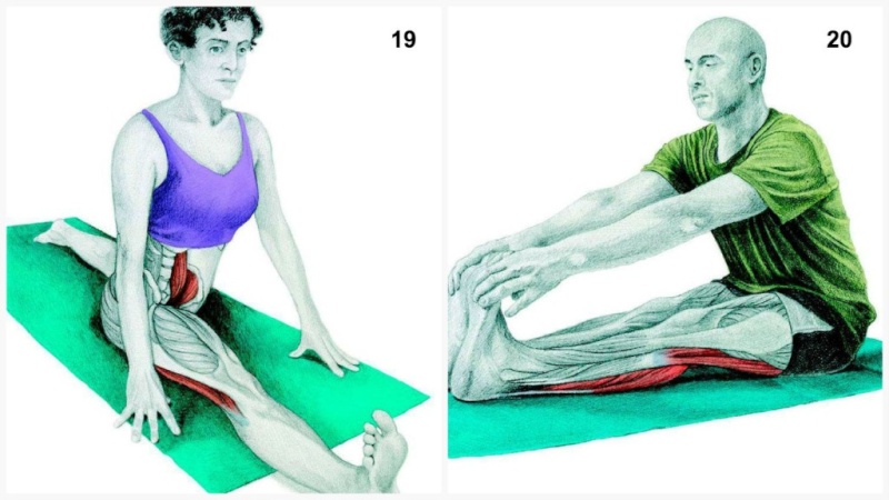 36 Pictures To See Which Muscle You’re Stretching Yoga1910