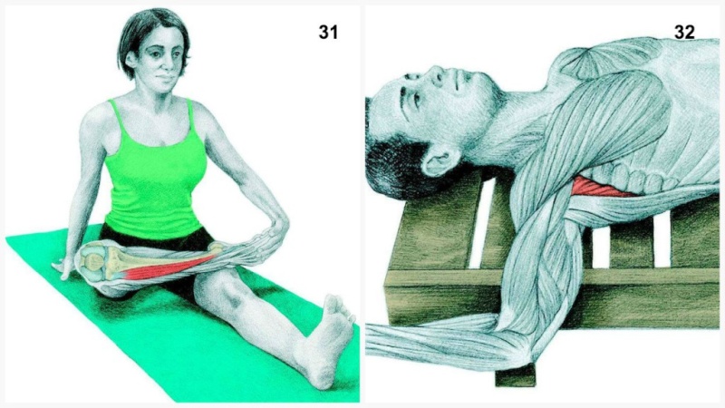 36 Pictures To See Which Muscle You’re Stretching Yoga3110