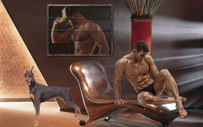 Muscular sur Chaise  Www-ch28