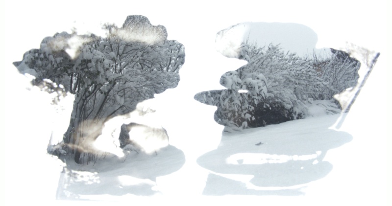 Jean-Yves Amir, peintographies Neige_11