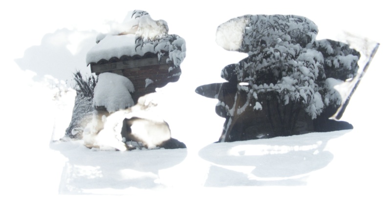 Jean-Yves Amir, peintographies Neige_12