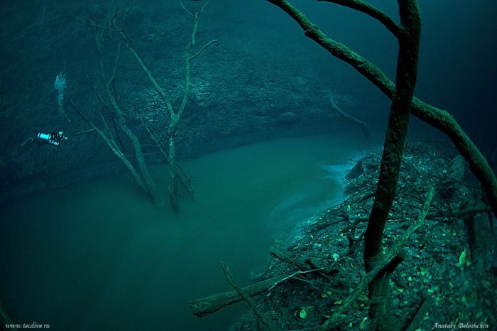 Dalam Sungai ada Laut ? River11