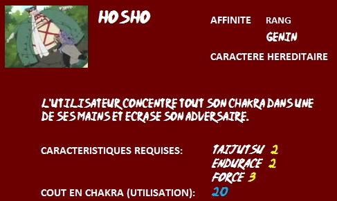 Liste de Taijutsu 2_hosh10