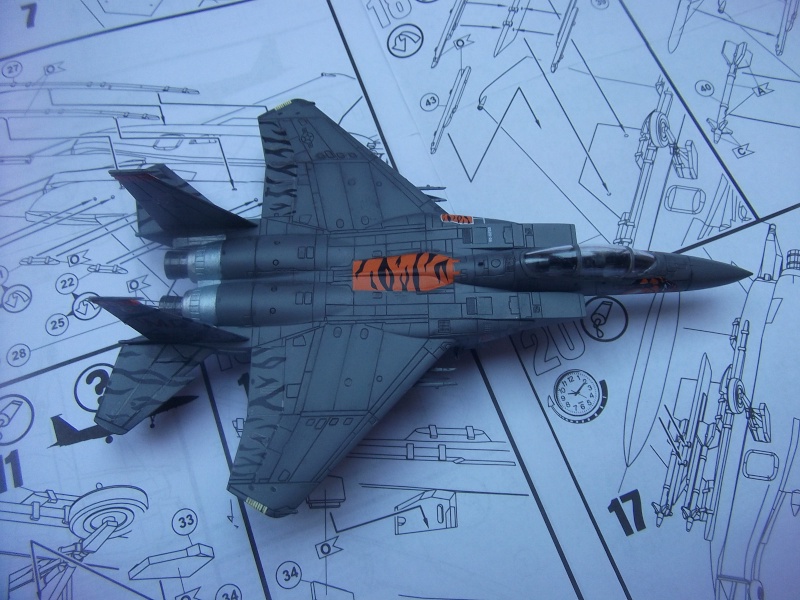 F-15E Strike Eagle Dscf4116