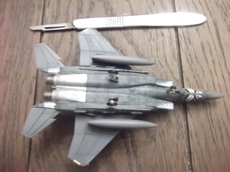F-15E Strike Eagle Dscf4226
