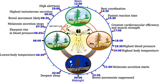 EARTH CHANGES 2011 DAILY UPDATES - Page 4 Circad11