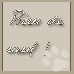 Pas de nouveaux messages Pas de nouveaux messages
