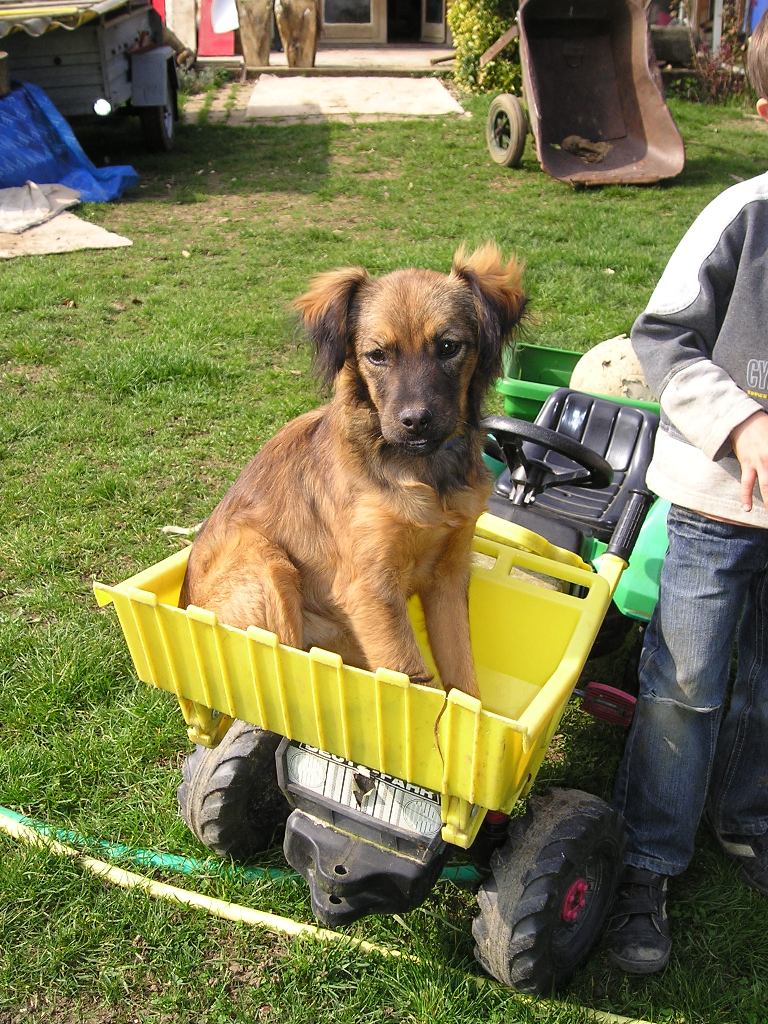 OLGA (Gandja)  Gandja15