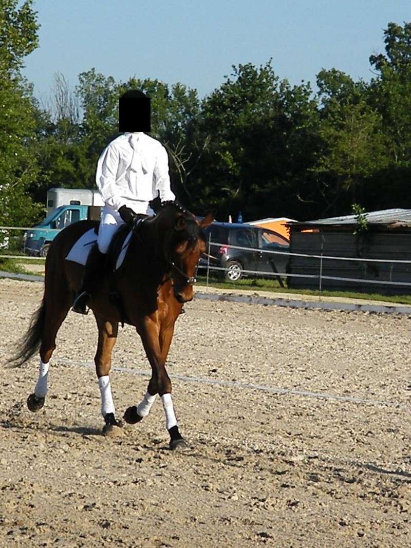 concours dressage 5mai2010 10060411