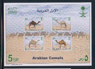 السعودية - الإبل العربية  1429 هـ - بطاقة 28_ouo10