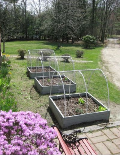 CT Square-foot gardening April10