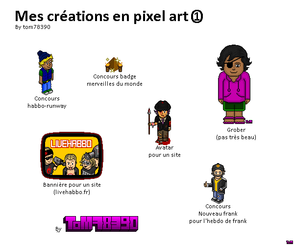 Mes créations en pixel art - By: tom78390 Mes_cr10