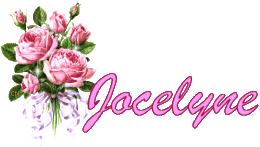 REMERCIEMENTS SAINT DIE Jocely10