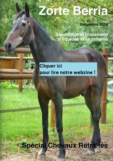 Le Webzine dédié aux chevaux retraités (hiver 2015) Page_d10