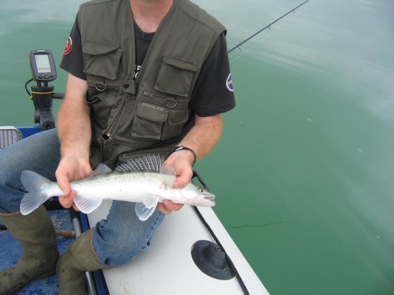 des sandres au lac de montbel Montbe13