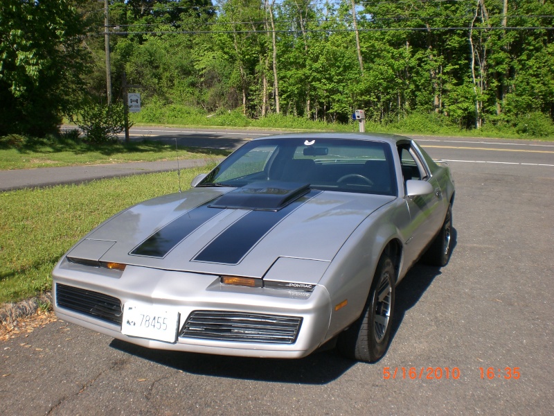 My 85 Firebird Bird_013