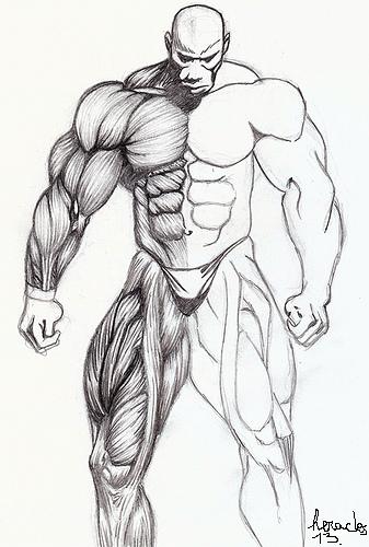 Flex Wheeler - Page 21 35779411